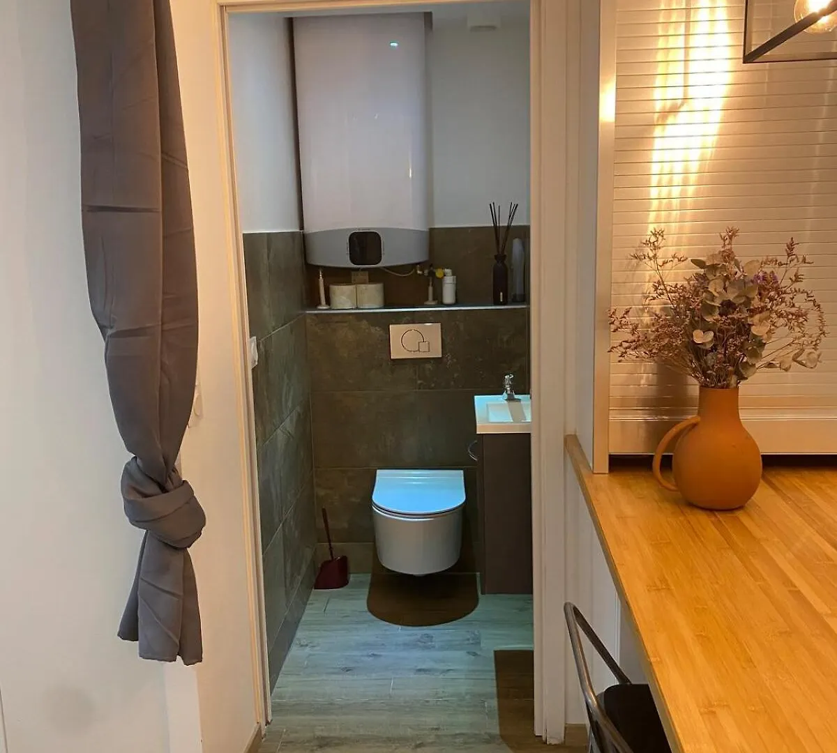 Le Sainte Claire - City Center Annecy Apartment